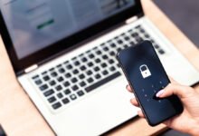 Online Fraud
