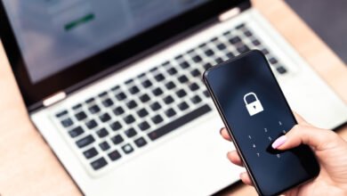 Online Fraud